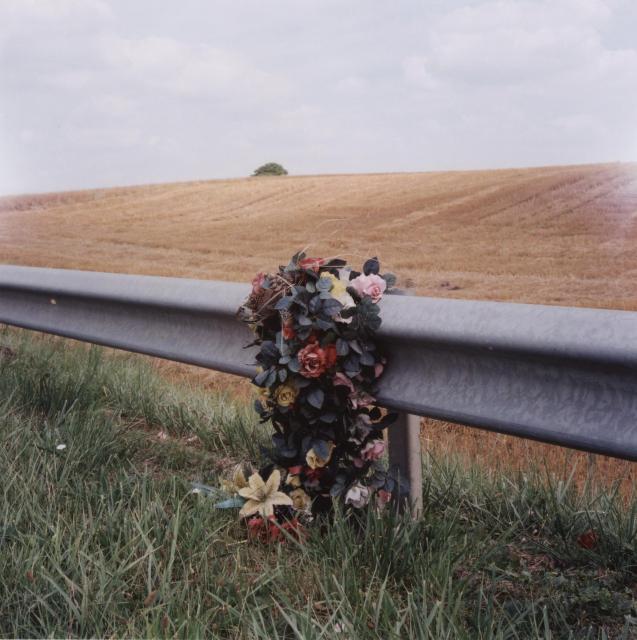 Les fleurs de la route 4 .jpg